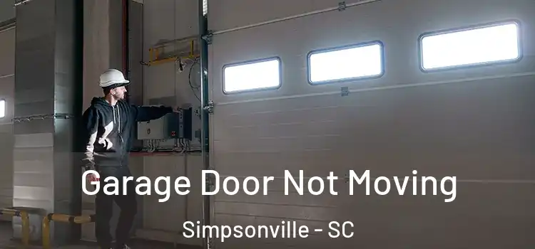  Garage Door Not Moving Simpsonville - SC